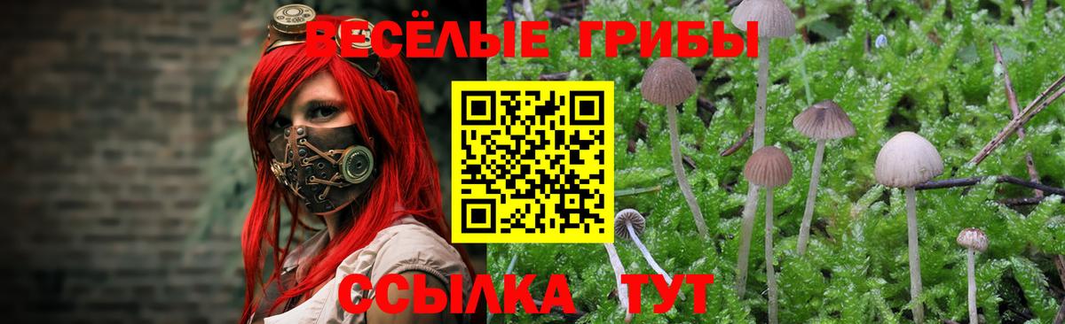 Красноуфимск  Галлюциногенные грибы MAGIC MUSHROOMS  что такое наркотик  Вход с VPN 